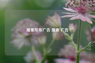 搜索发布广告 搜索 广告